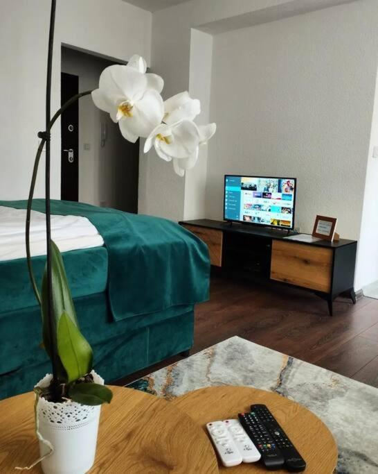 Zeid City Center Apartment سراييفو المظهر الخارجي الصورة